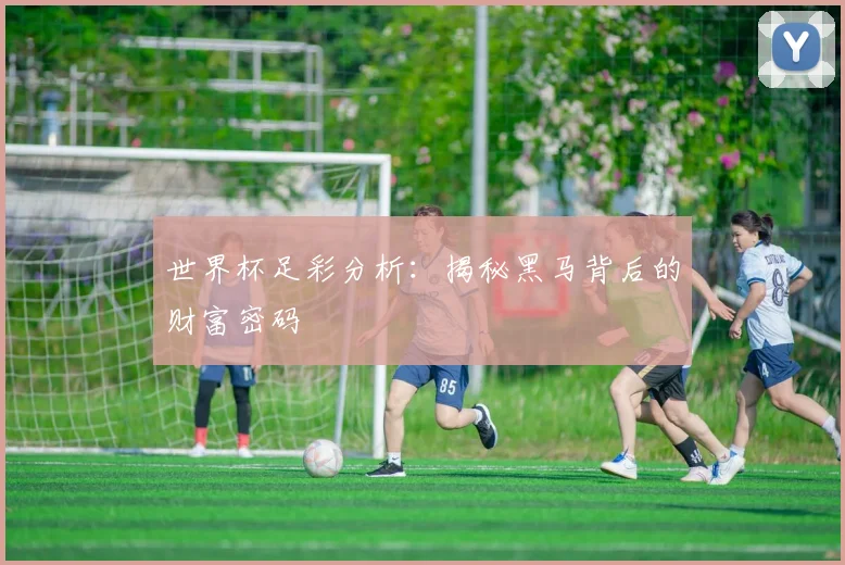 世界杯足彩分析：揭秘黑马背后的财富密码