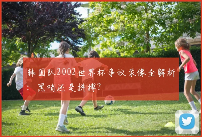 韩国队2002世界杯争议录像全解析：黑哨还是拼搏？