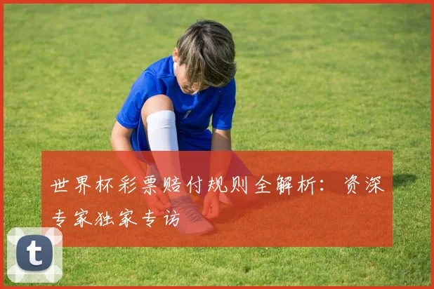 世界杯彩票赔付规则全解析：资深专家独家专访