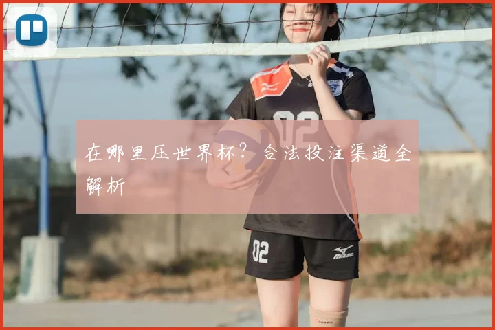 在哪里压世界杯？合法投注渠道全解析