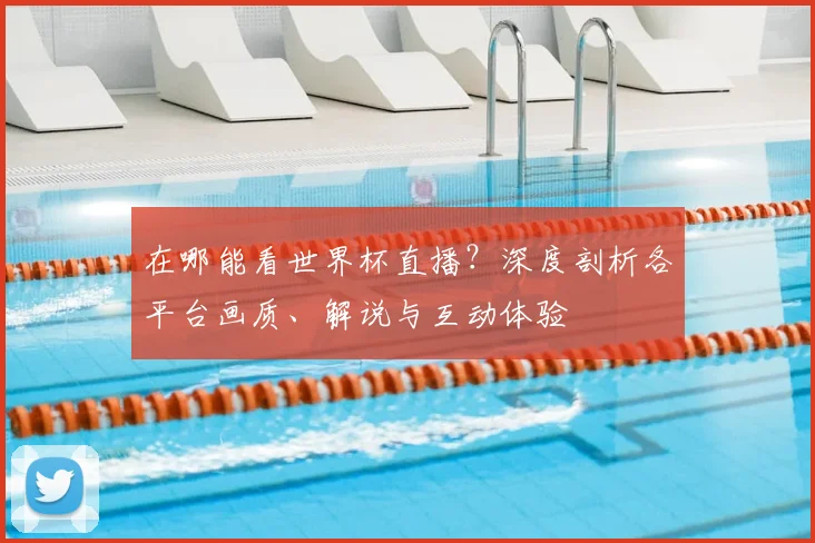 在哪能看世界杯直播?深度剖析各平台画质、解说与互动体验