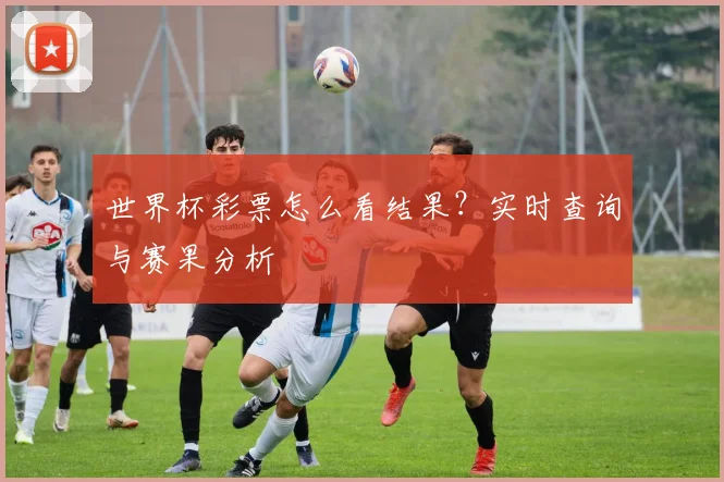世界杯彩票怎么看结果？实时查询与赛果分析