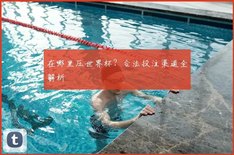 在哪里压世界杯？合法投注渠道全解析