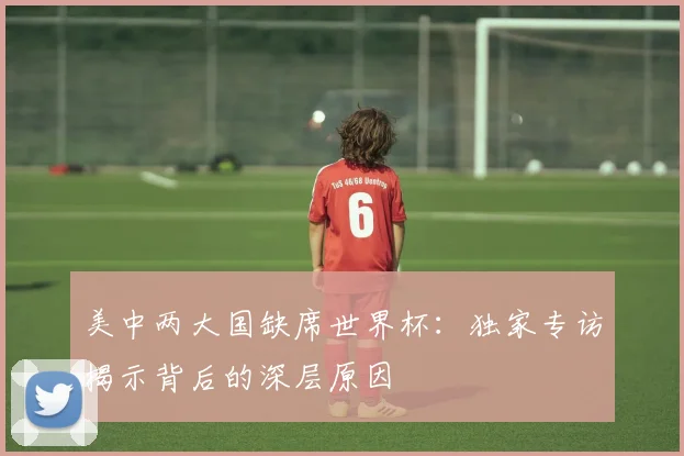 美中两大国缺席世界杯：独家专访揭示背后的深层原因