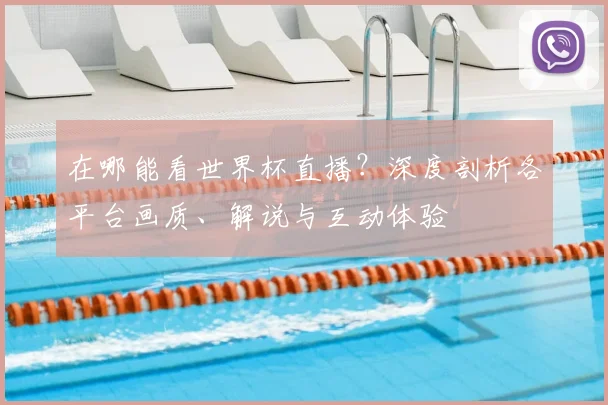 在哪能看世界杯直播?深度剖析各平台画质、解说与互动体验