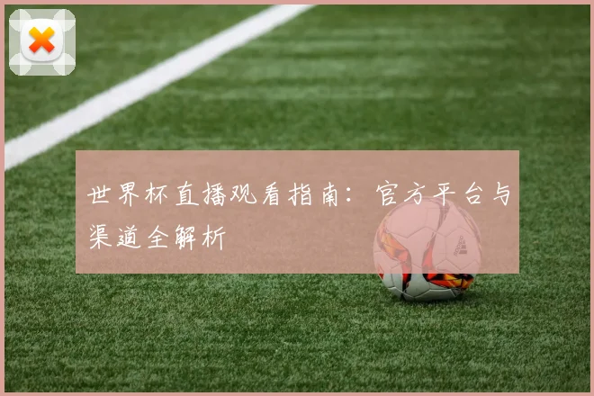 世界杯直播观看指南：官方平台与渠道全解析